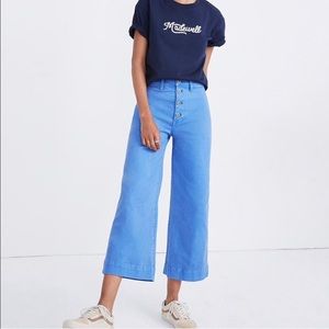 Madewell Emmett Wide Leg Crop Pant Button Front 28